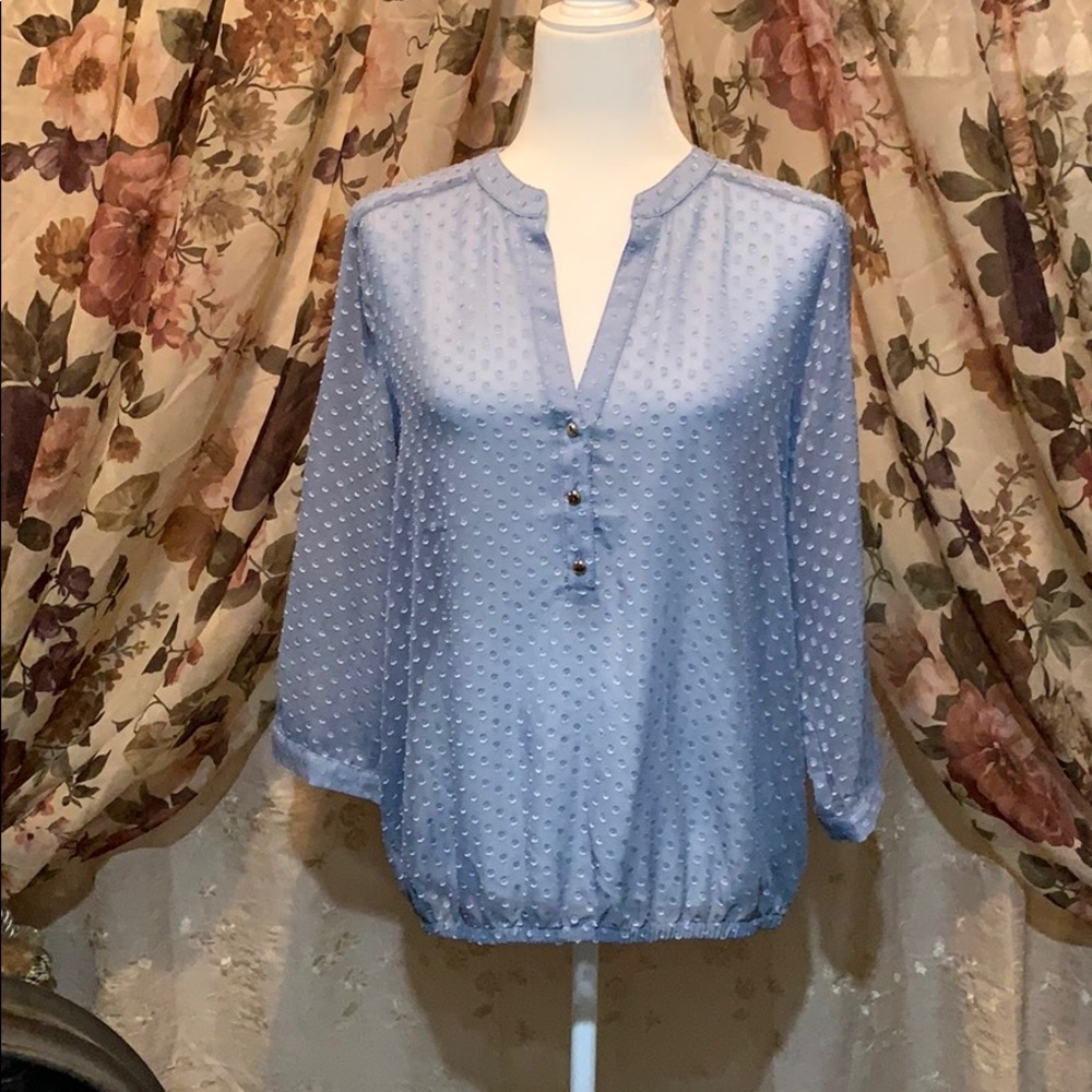 Sz L, THE LIMITED Sheer Top/Blouse